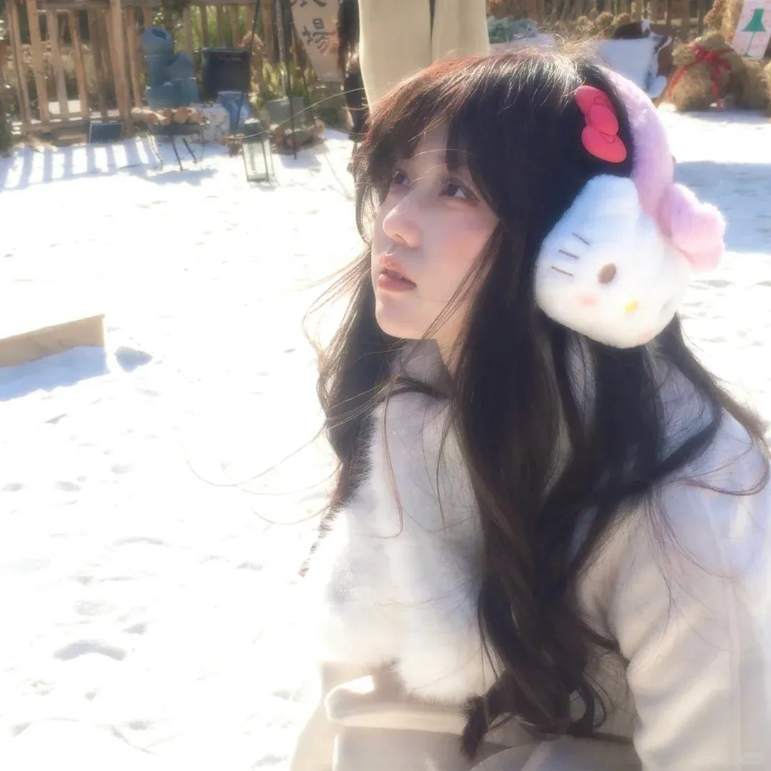 木府风云